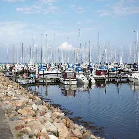 شقة 5 Person In *