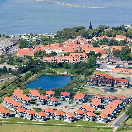 5 Person In * بوجنسي