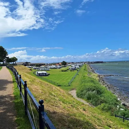 5 Person In * بوجنسي