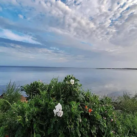 5 Person In Appartement Bogense