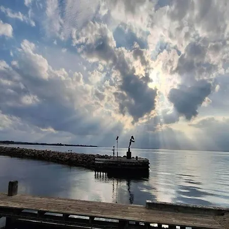 شقة 5 Person In *