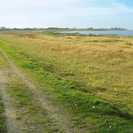 5 Person In * بوجنسي